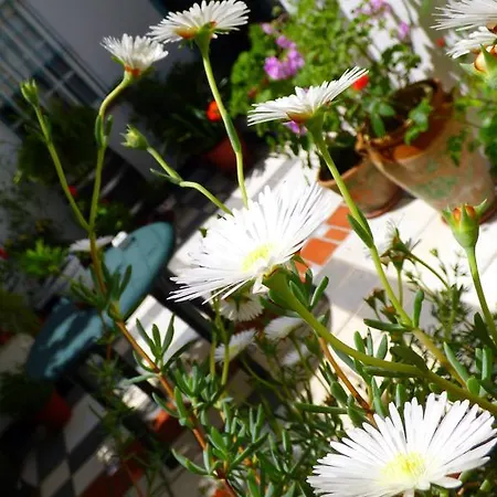 Campo Nuevo 게스트하우스 산루카데바라메다