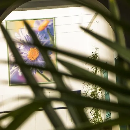 Campo Nuevo Affittacamere